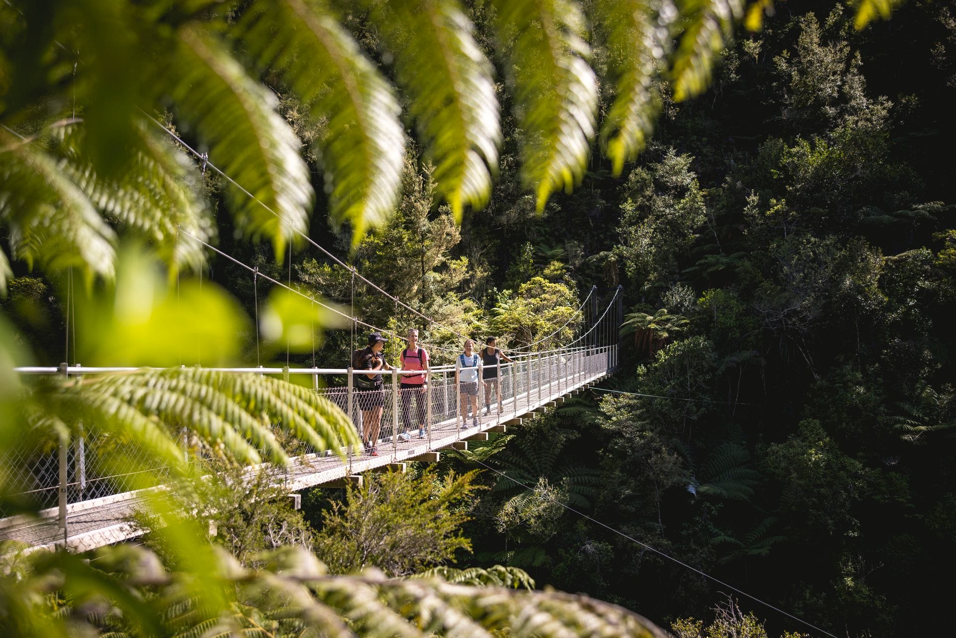 Abel Tasman Coast Track