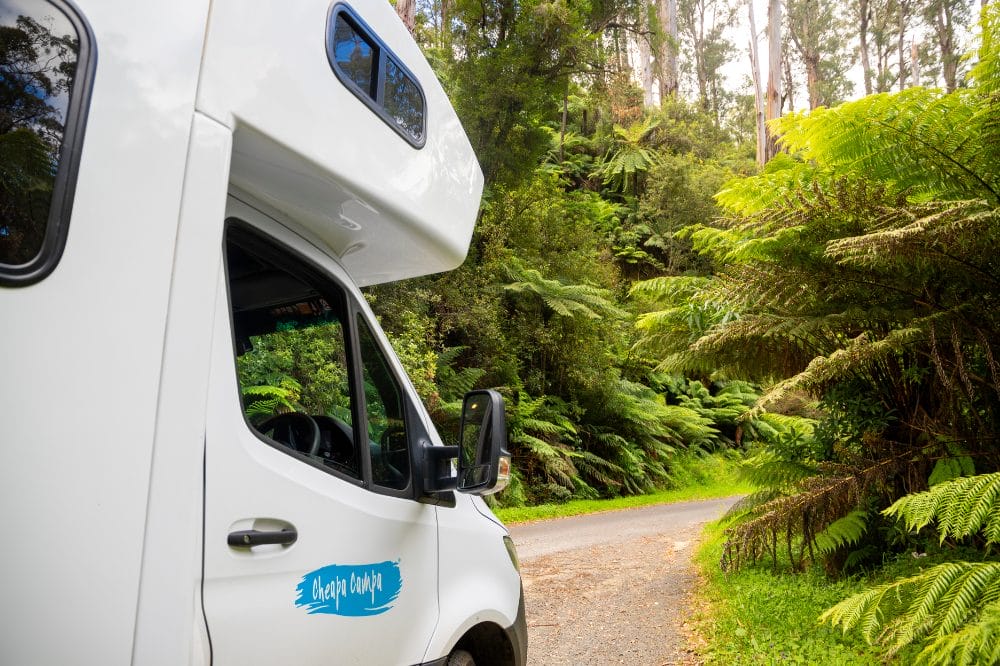 Hvid campervan parkeret ved en smal vej omgivet af tæt grøn skov og bregner