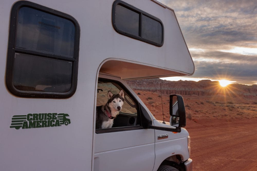 Hund kigger ud af en hvid autocamper i et ørkenlandskab ved solnedgang