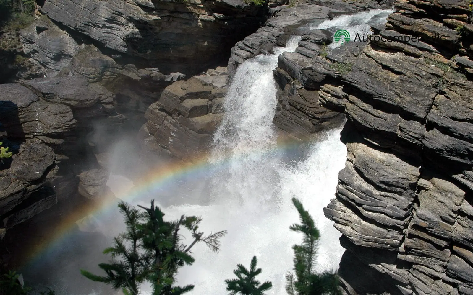 Athabasca Falls i Jasper National Park