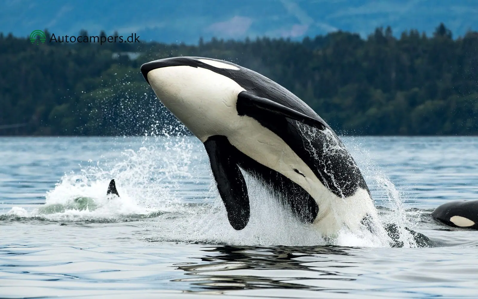 Campbell River - Vancouver Island