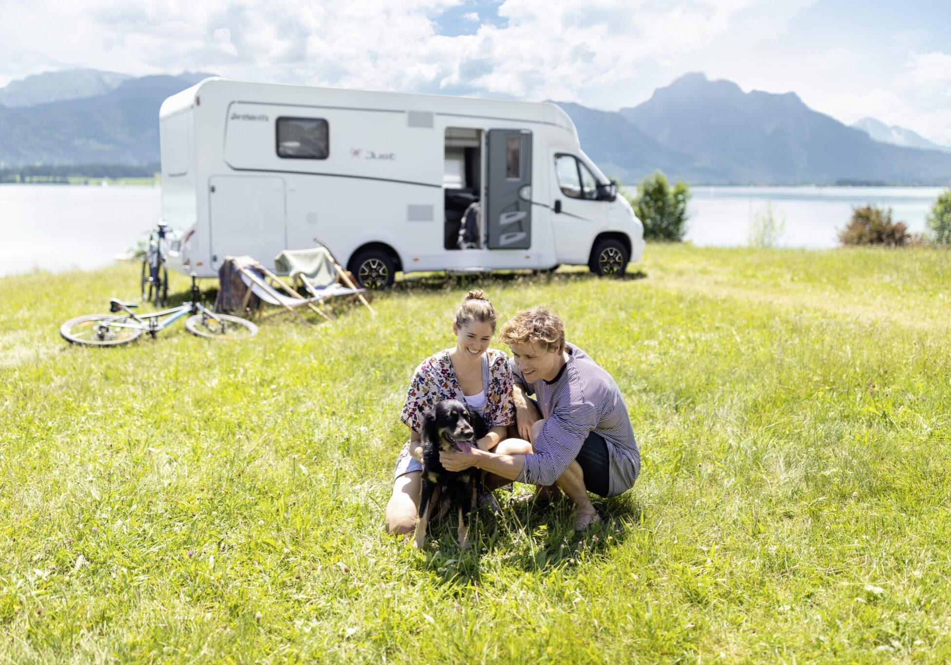 Autocamper med hund (6)