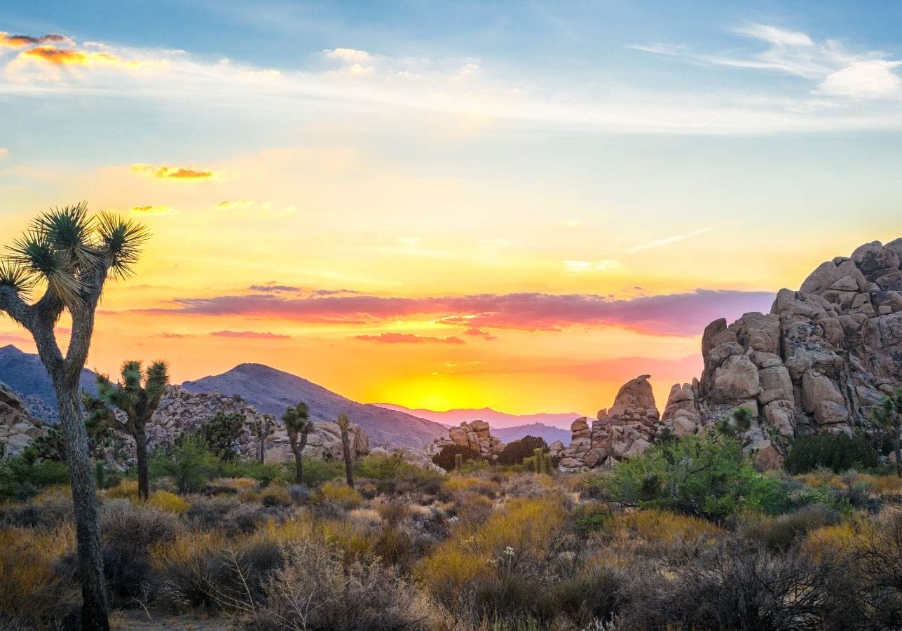 Joshua Tree National Park er rig på smukke landskaber