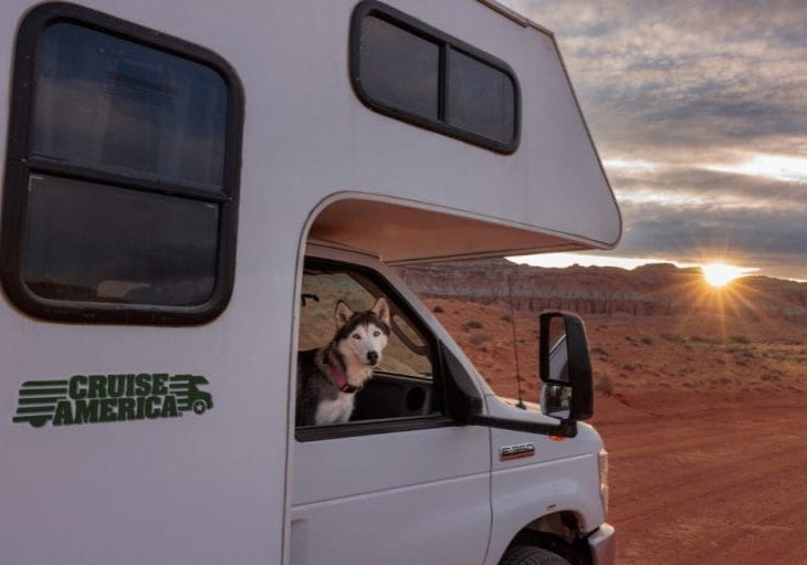 Hund kigger ud af en hvid autocamper i et ørkenlandskab ved solnedgang